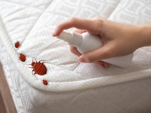 Best Pest Prevention Services  in Seaside, CA