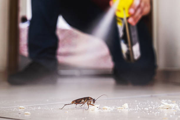 Pest Control Cost in Seaside, CA